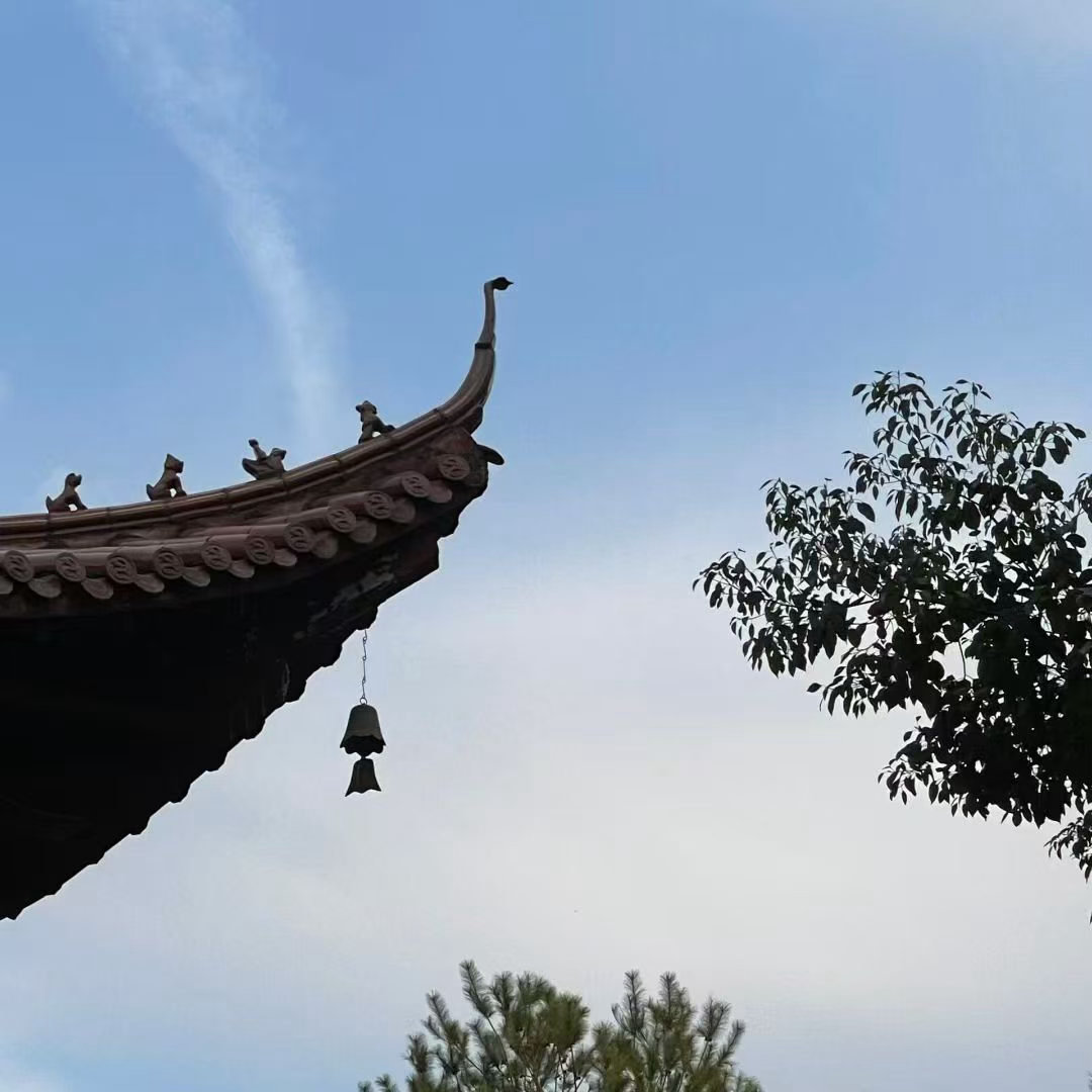 肖说道老肖漫谈初心易学 素白见招真慷慨，苍黄欲赴又趦趄。命存一定百年见，事要十全