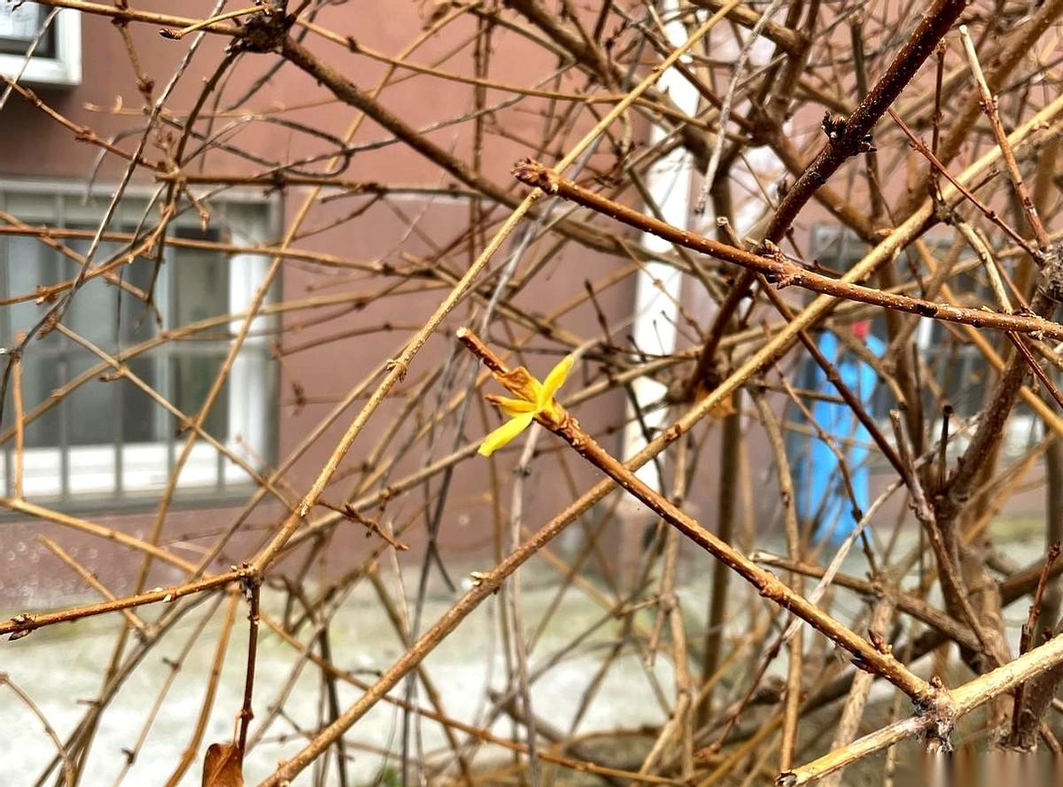 就差一天。
真的，就差最后24个小时，她就能拿到那本绿色的离婚证，彻底开始新生活