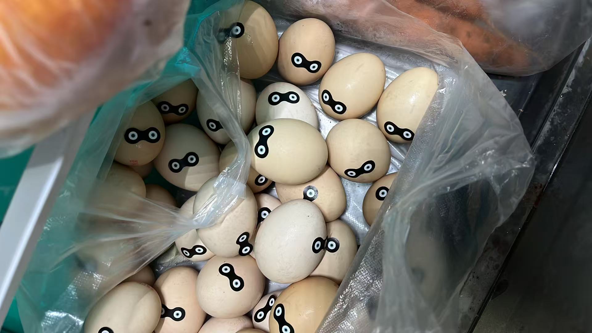 贴得我急一脑门汗🌚 