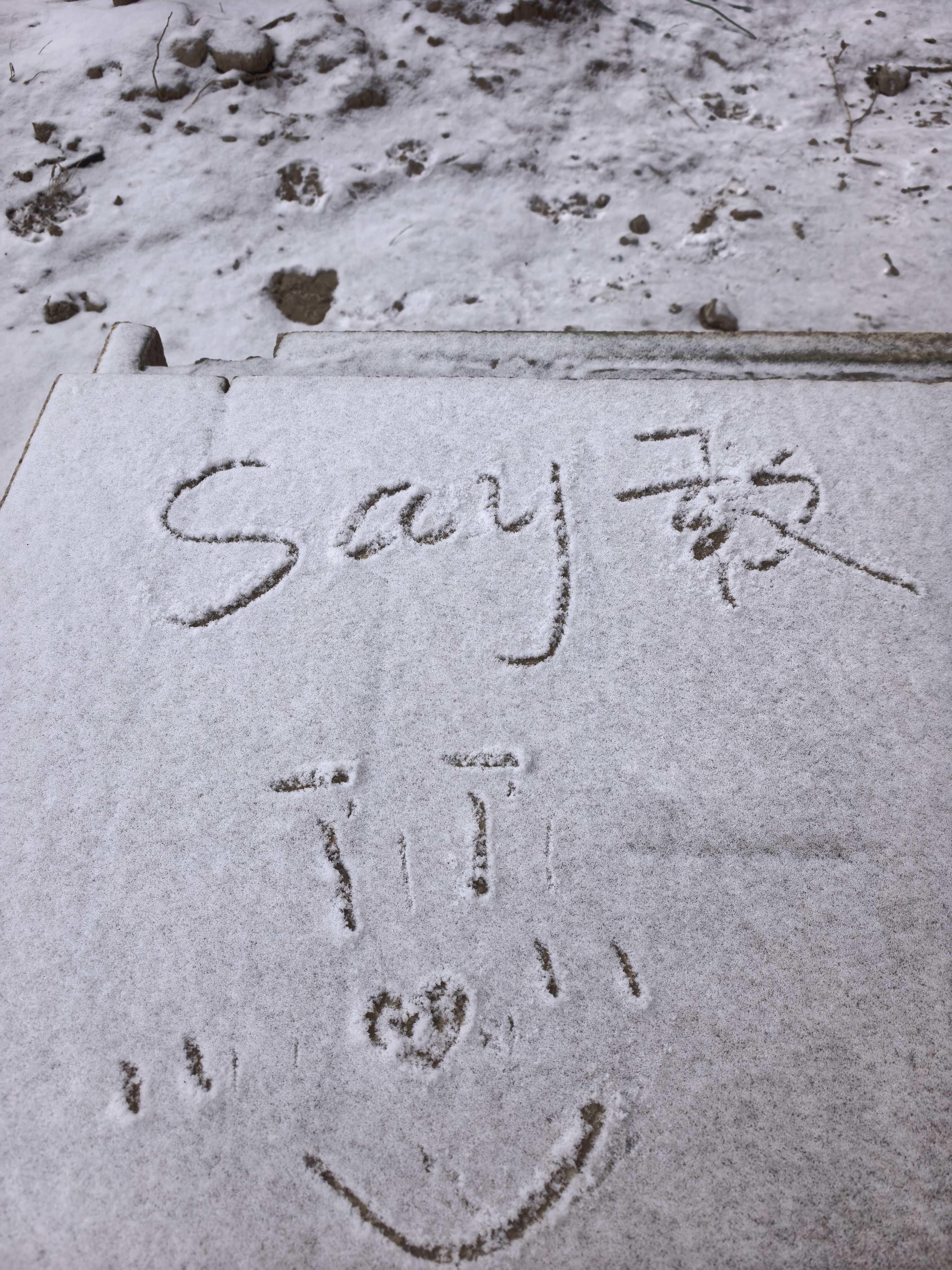 朋友在北京给我带id了