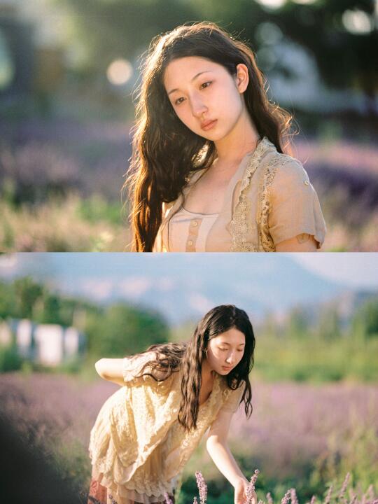 晃晃村的薰衣草庄田💜