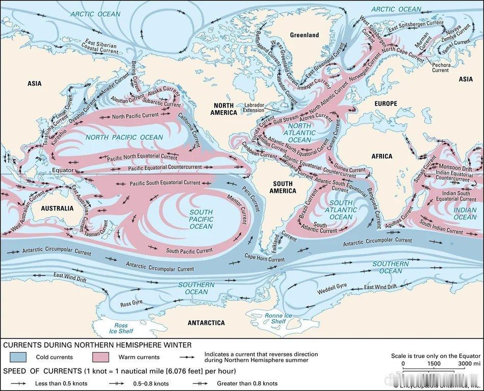 【🌊 全球恒温器：了解海洋的“洋流”】如果你想了解全球宏观气候、供应链或局部天