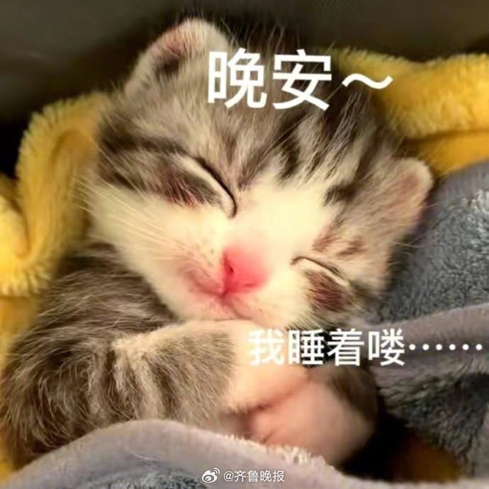 愿你做个温暖的人，更愿你是个被温暖的人。#晚安#