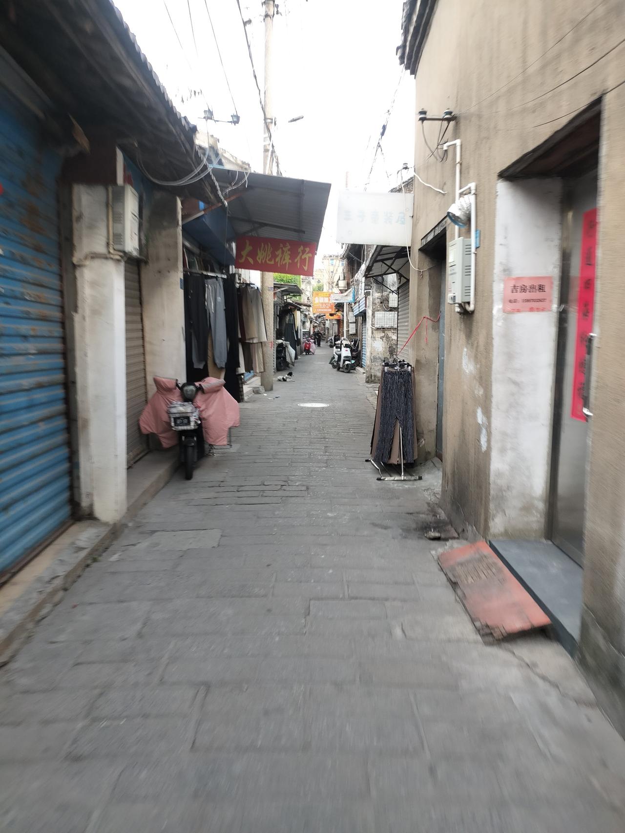 老宝应行当，自行车载客
从前宝应西门堤、北头夹心堆树荫，一排改装自行车做载客营生