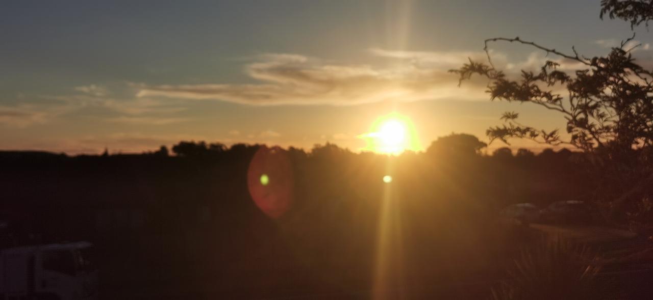 奥克兰的夏天天黑的特别晚，图一是20：30，图二三是21：00，完全黑下来要到2