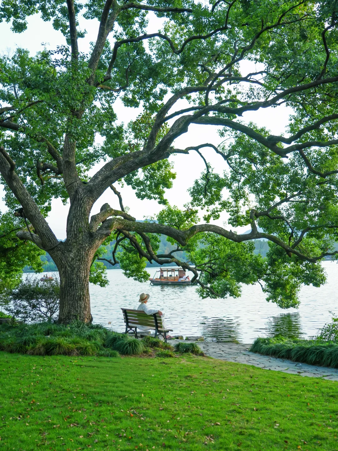 “人类为何如此迷恋绿色”