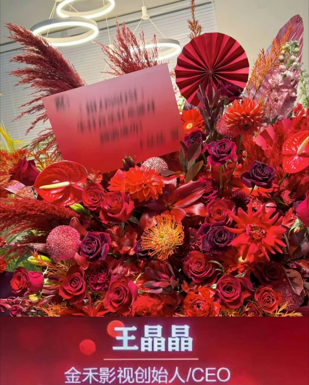 虞书欣长生骨单人过会虞书欣单人过会无须质疑，期待何盼1v3大女主，明天就要开机认