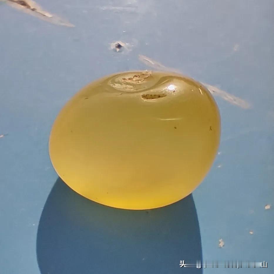 宣言


显微镜下的暴动正在狂欢  
染色体撕碎秩序手册  
每个分裂都是对死神