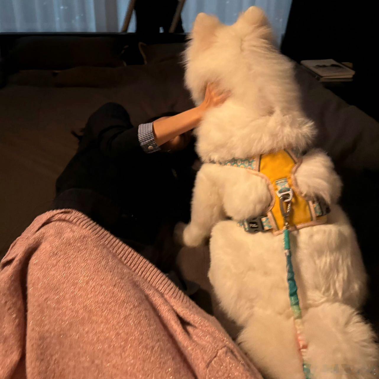孙千晒6张卢克合照 孙千和卢克完全都是萌物来的！看得人心里软软的，真的太幸福了?