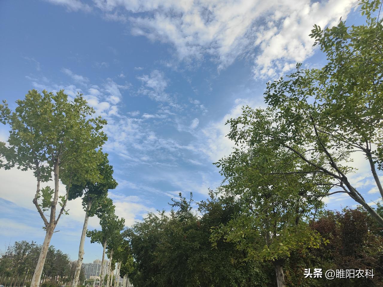 秋日生活打卡季俗话说“岁月不饶人，季节不饶天”。转眼已经进入了秋季，告别了炎热的