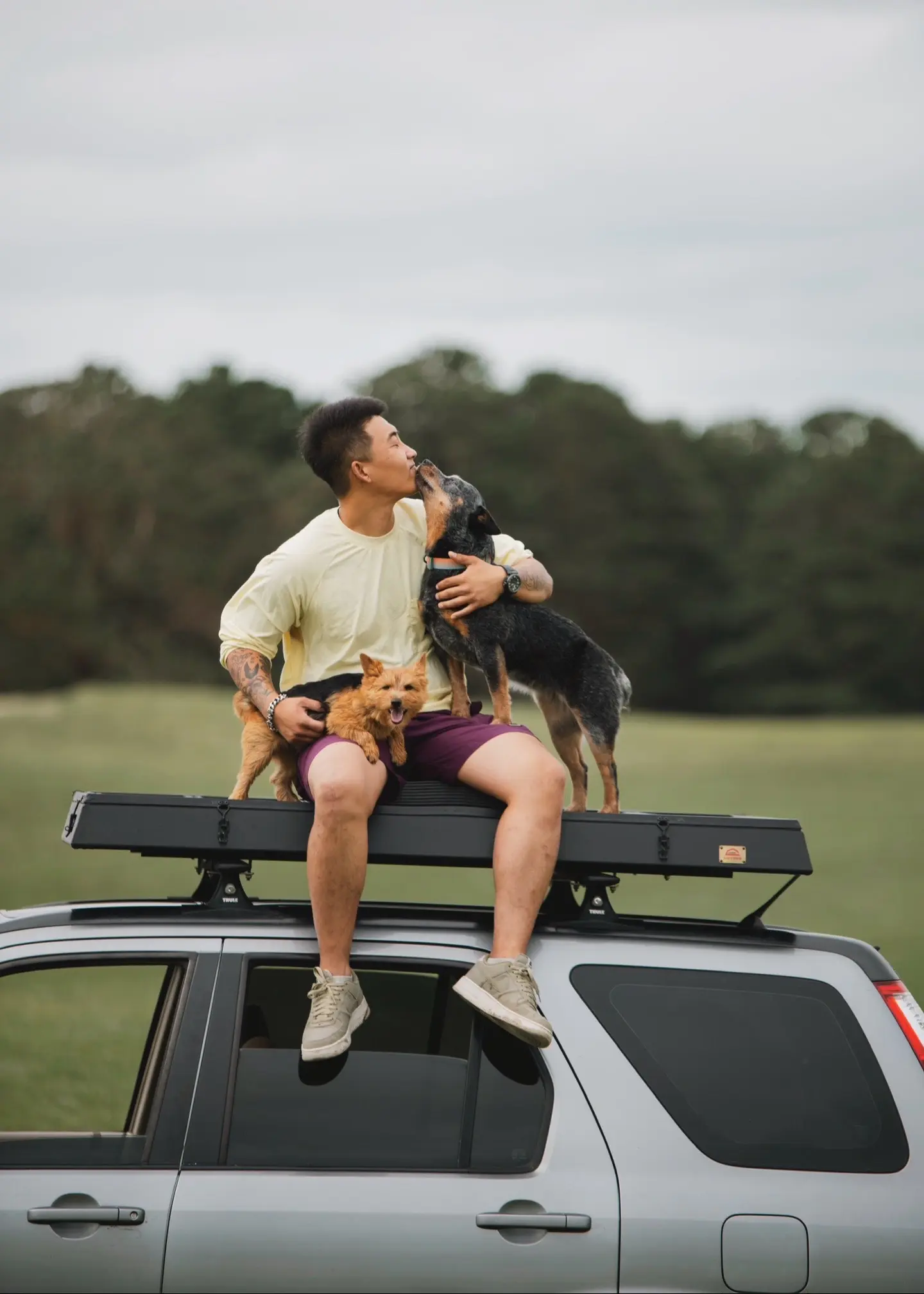 大美内蒙古….让小狗找自己！