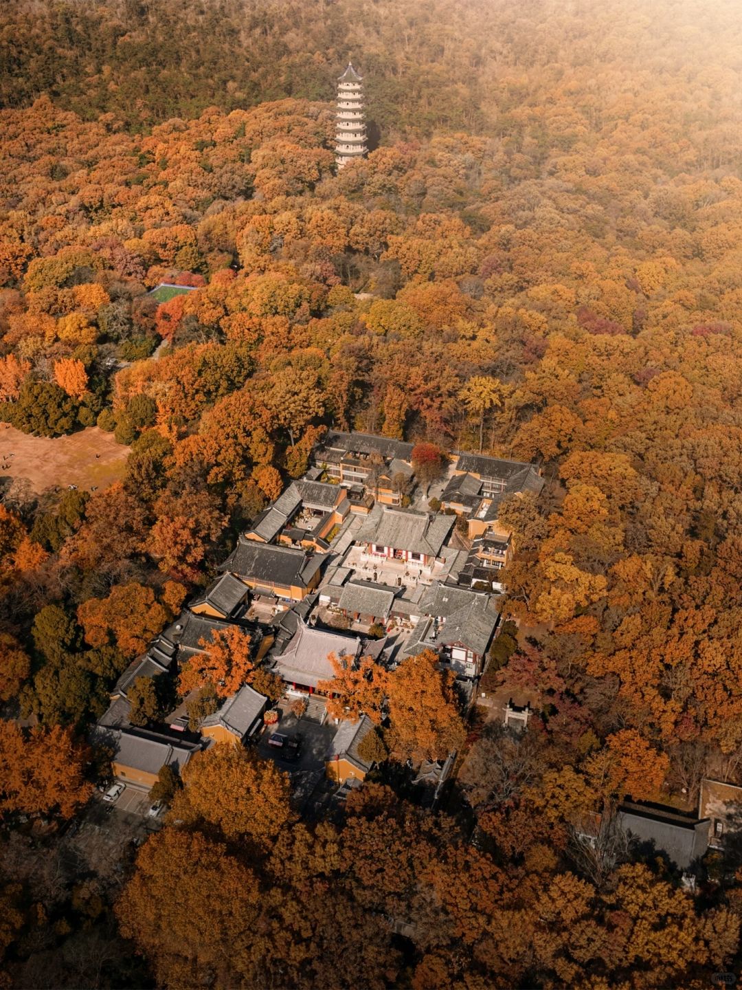 这么美的南京灵谷寺 错过等一年❗️