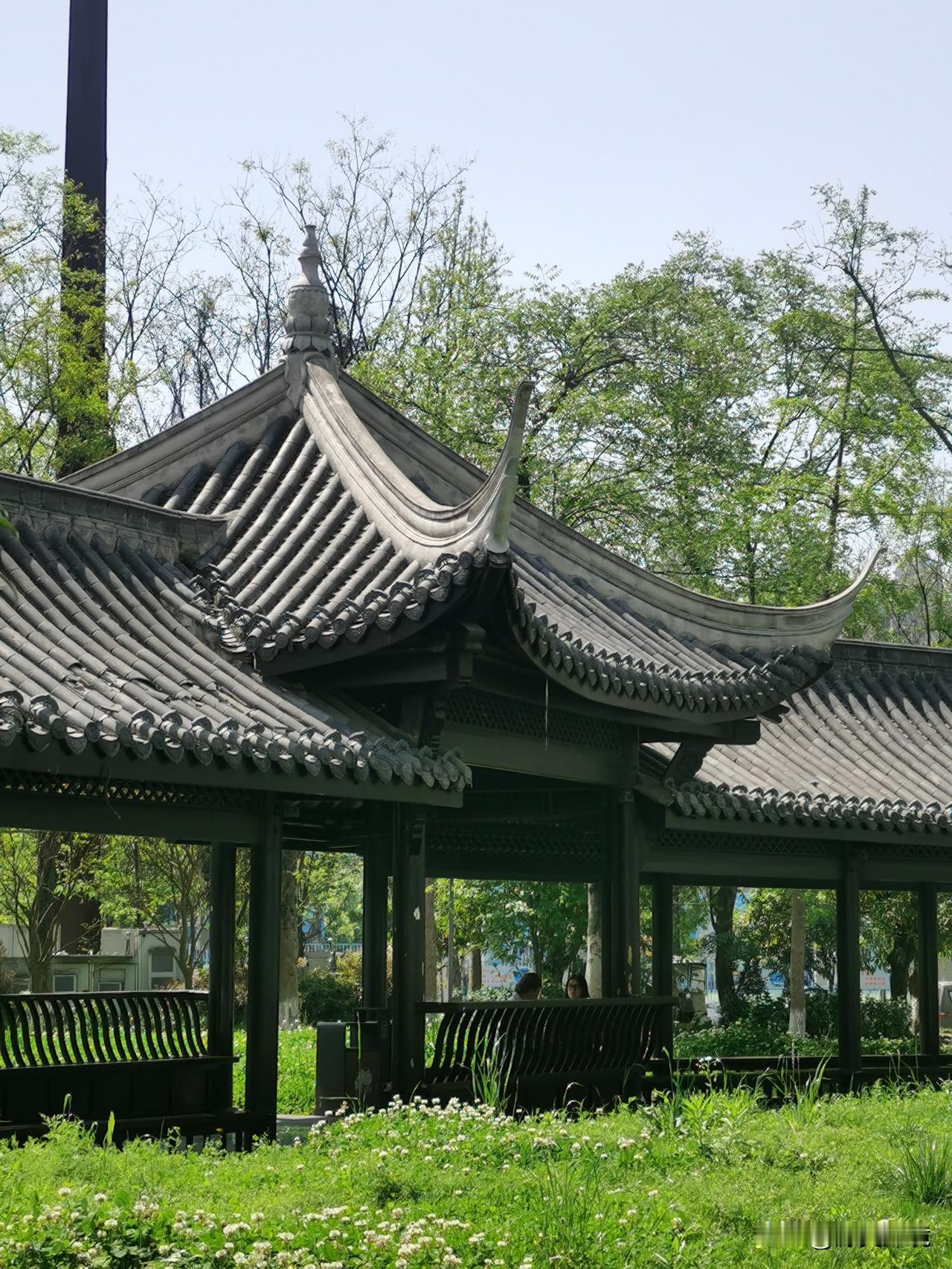 生机盎然的新绿

春天一到，那生机盎然的新绿便四处冒头。小区里的草地，原本枯黄一