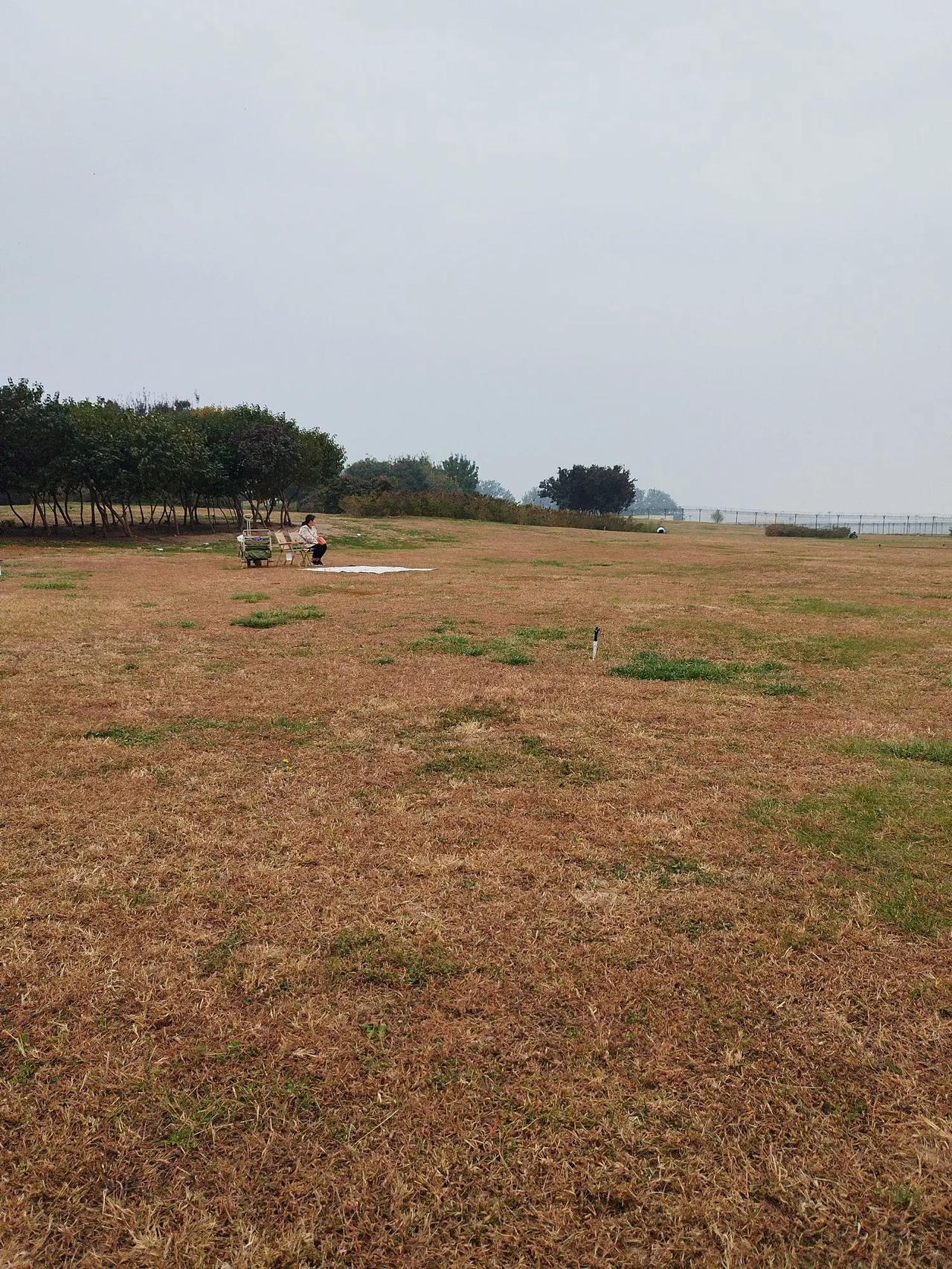 采桑子（和凝体）
重阳登高望远有思

文/李耀海

重阳气爽登高望，菊竞芬芳，枫