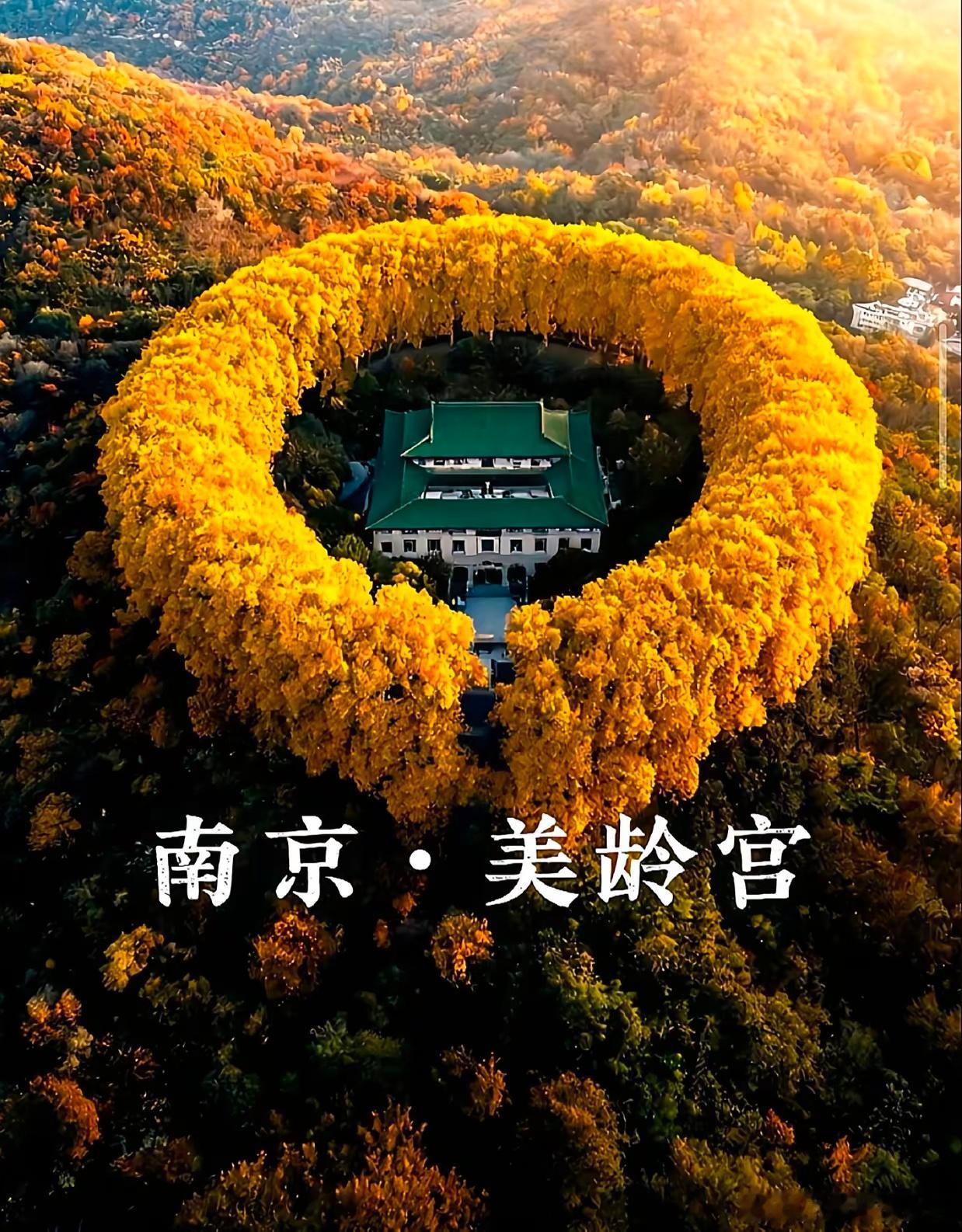 真美，当年也是真奢侈 ​​​