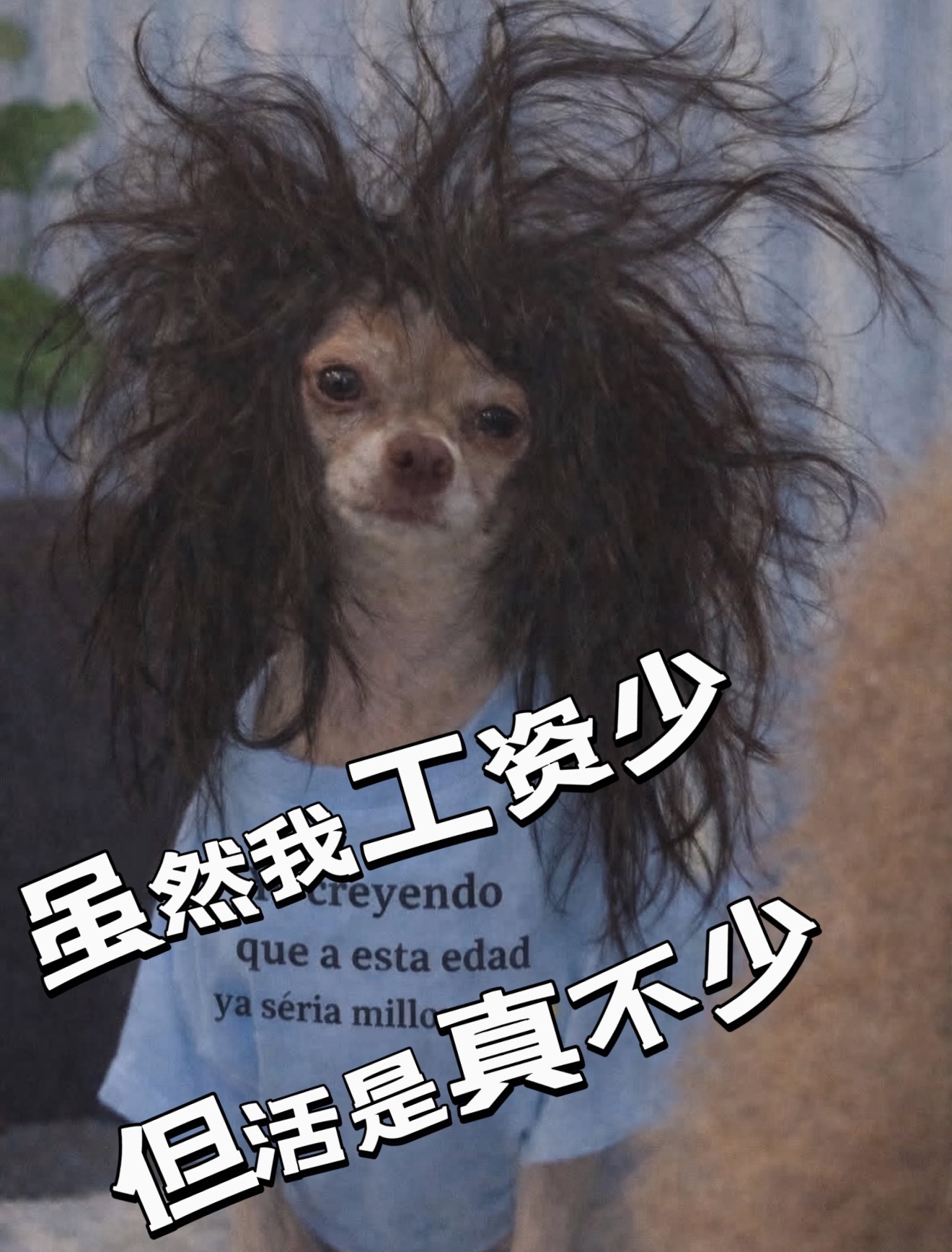 刚出门健身，车都开到健身房楼下了，准备上去跑步，突然接到老师电话要来家访。而且是