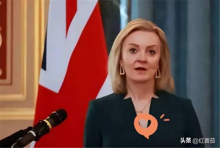 亿万富豪建垃圾场，她一个弱女子硬刚14年！

赢了官司，她竟把总统宝座当“职场”