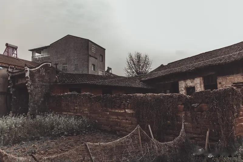 2月24日，一则来自黑龙江的短视频让无数网友泪目。镜头记录下一位年轻人在父亲和祖