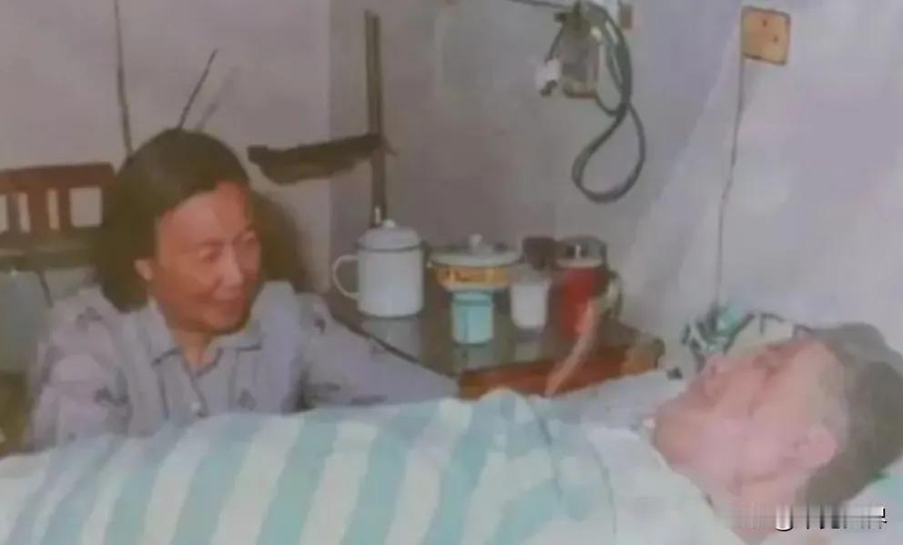 1986年夏天，许鹿希听到熟悉的敲门声，开门瞬间，她几乎认不出眼前这个瘦削的男人