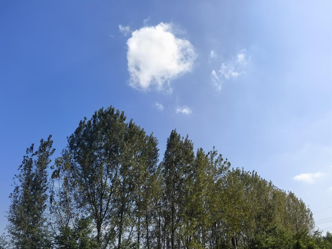 秋日生活打卡季天空的蓝是深邃的蓝，既有向上的无限生机，也有想象的宽阔。所以古人才