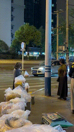 笑到打鸣！路边红灯骗了一整条路的司机，这画面又离谱又暖心！
刷到这个视频我直接笑