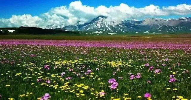 人到中年的男人，时常会觉得孤独，因为他一睁开眼睛，周围都是要依靠他的人，却没有他