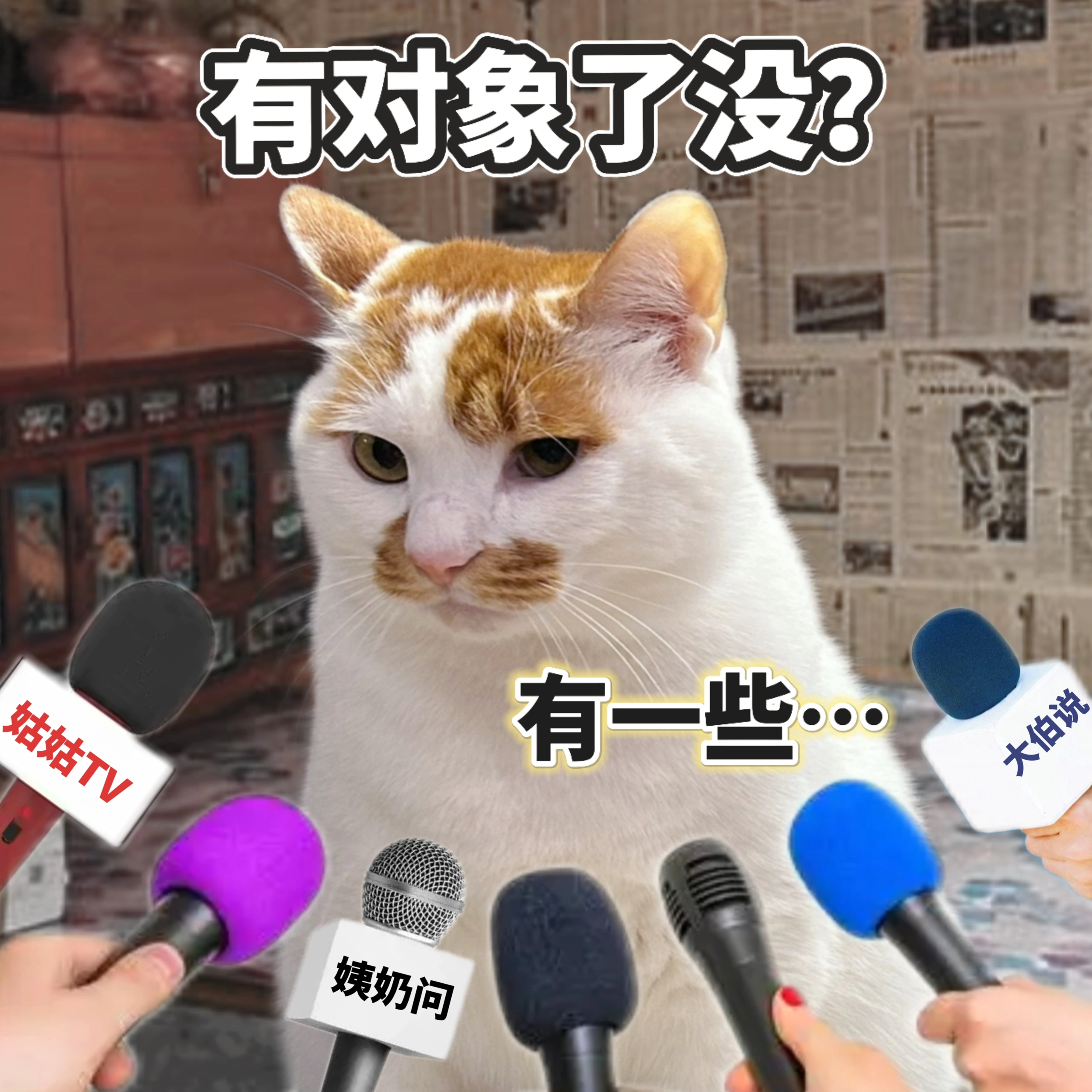 新年亲戚记者会😂哈哈哈哈 笑薯了，你学废了吗😀 
