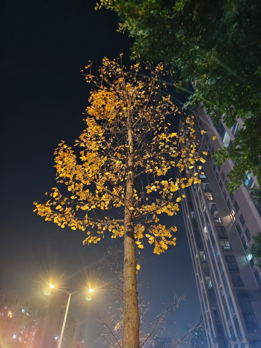 《不易》谁容易？都不易！就连曾经羡慕零食满目的小卖部，老板也不易，从早到晚，圈在