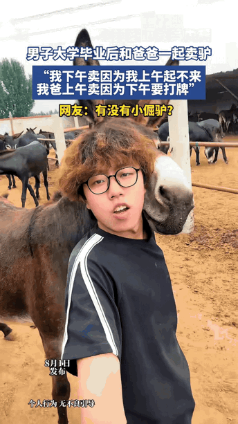 河北，一名大学生，毕业后放弃城市白领工作，转身回老家，跟着父亲一起卖驴。父子俩定