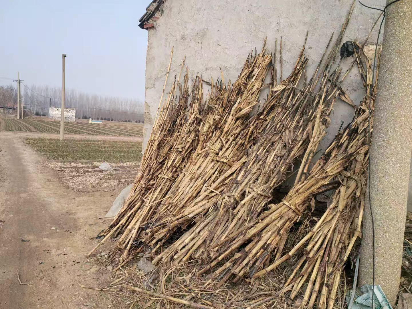 秦岭笑谈【阡陌寻秸探妙策，黄河流域绘鸿章】曲阜师范大学寒假社会实践三下乡 黄河之