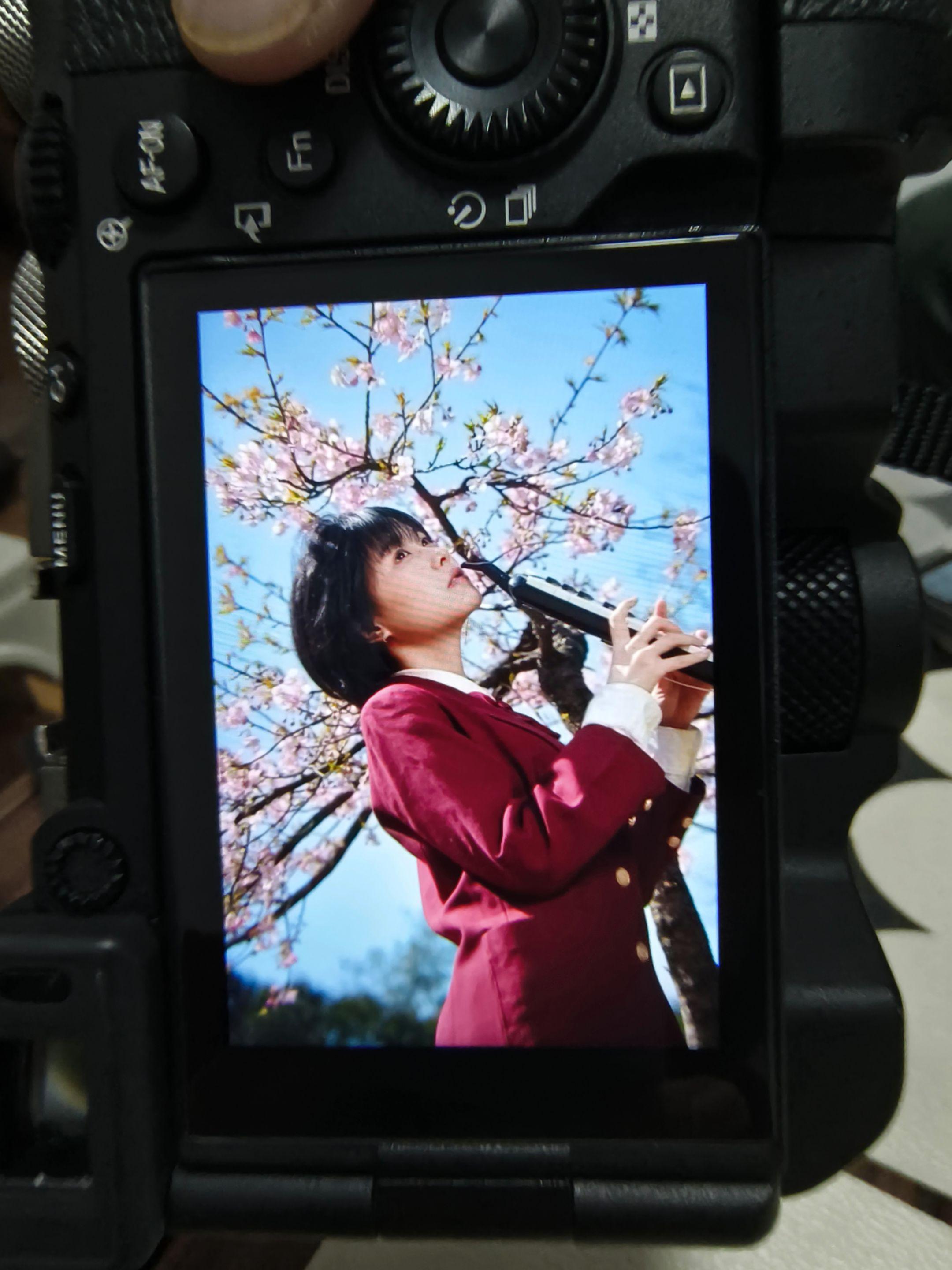 杭州樱花最速传说！