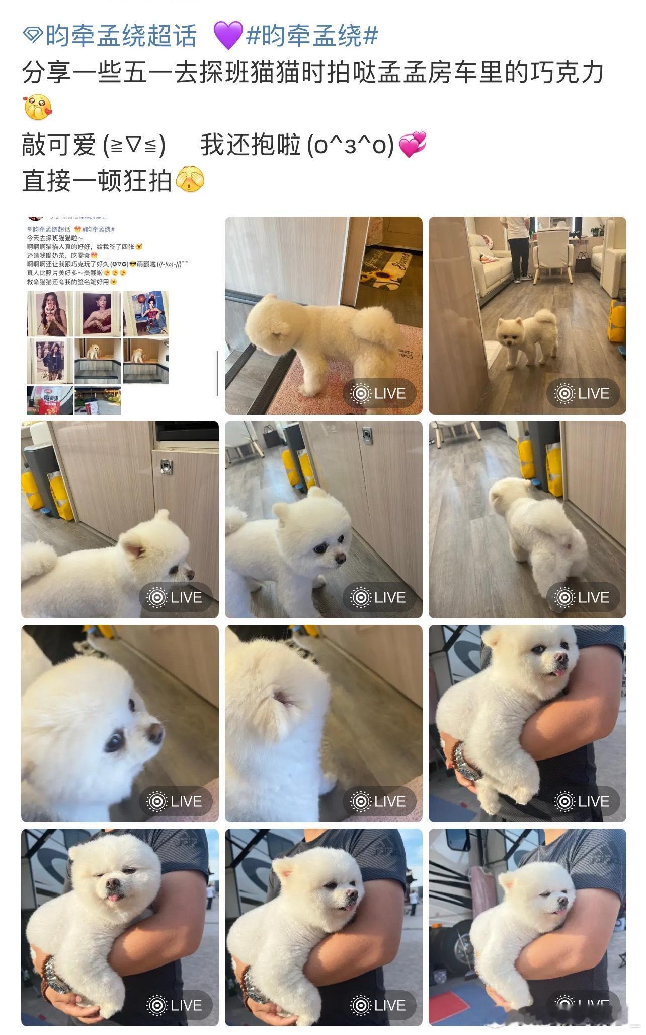 昀牵孟绕探班孟子义上房车 ​​​