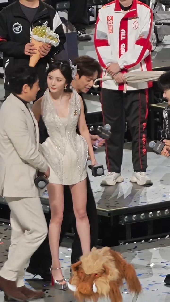 五年默契修炼手册！

杨幂沈腾的"扶不扶"进化史。

要说娱乐圈最有趣的搭档，