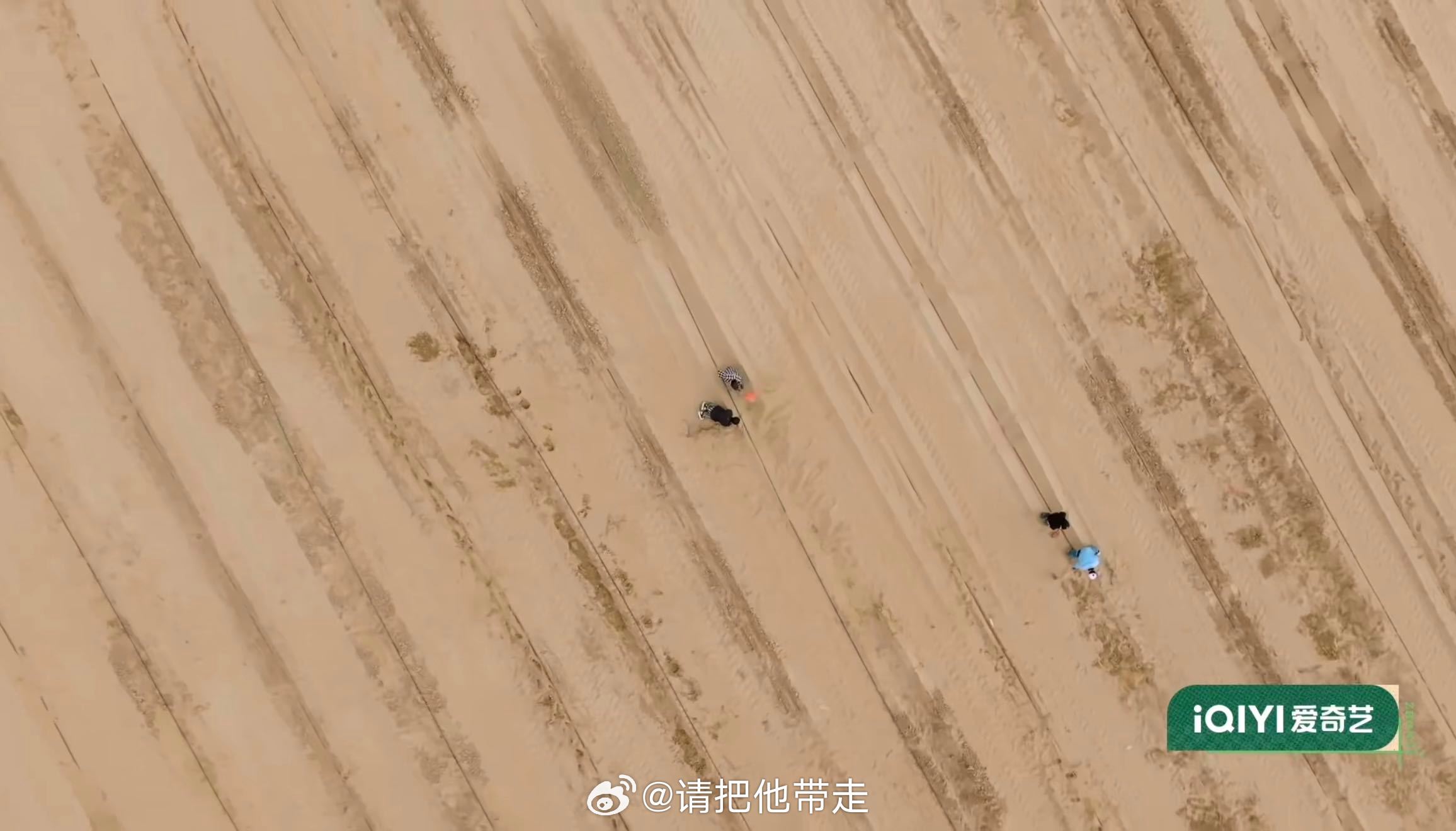 种地吧专挑苦地方去种地吧 以为种地综艺就是插秧收麦，结果他们直接到治沙一线和流沙