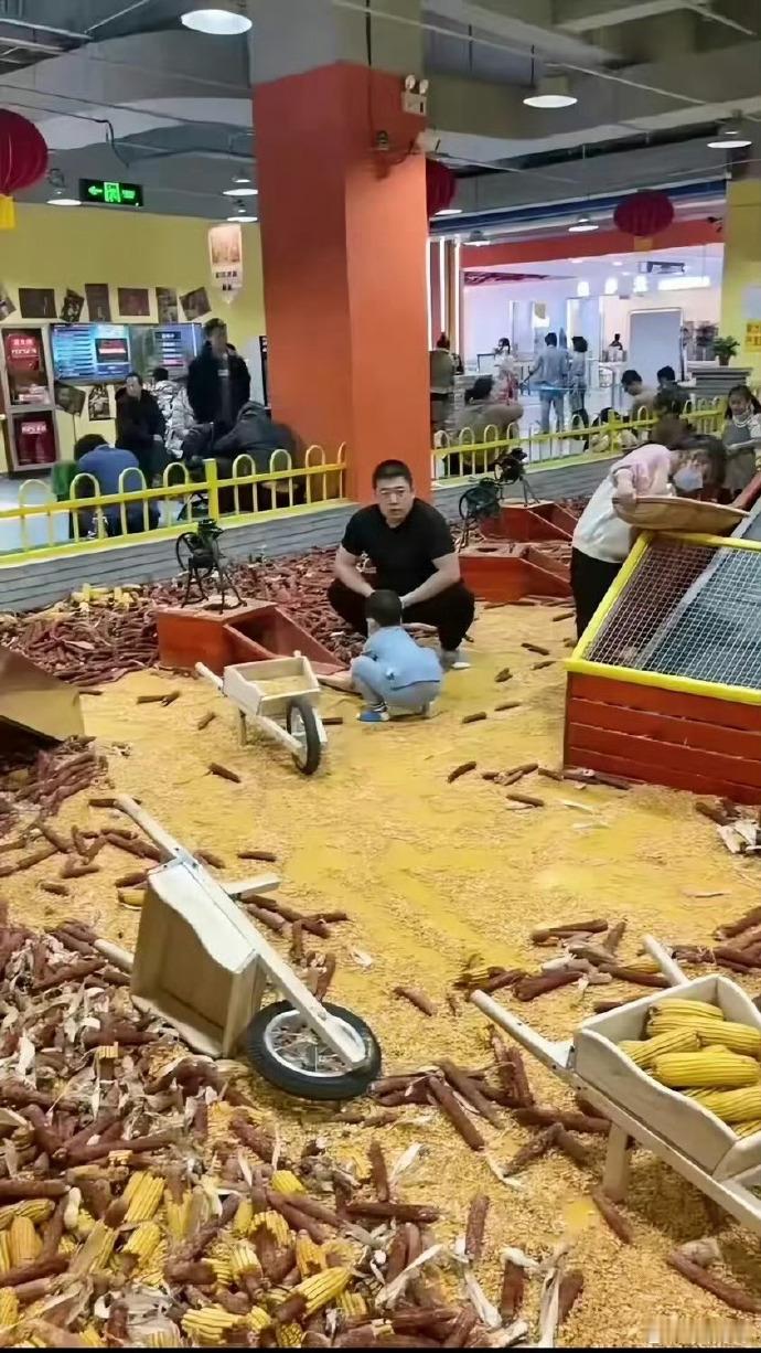 老板商业奇才，孩子玩完还可以给猪吃，一举两得。 ​​​