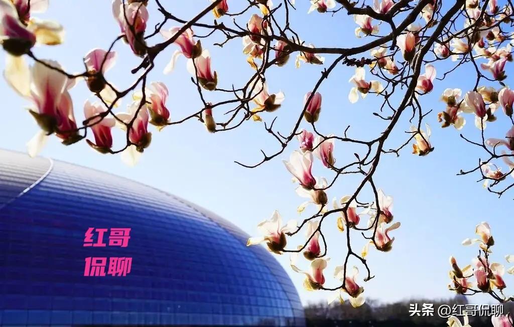 感觉“多动症儿童越来越多”，核心是诊断识别变准+环境压力放大+生活方式改变，不是