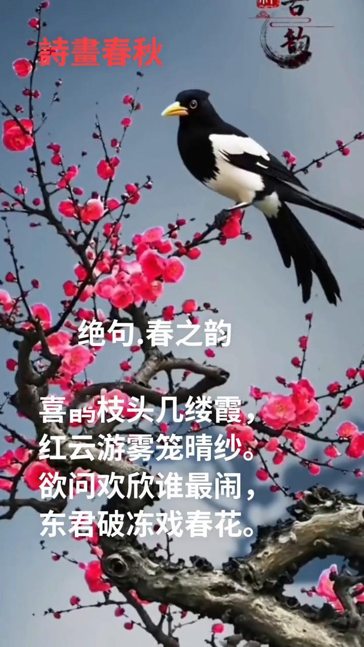 绝句.春之韵。
喜鹊枝头几缕霞，红云游雾笼晴纱。
欲问欢欣谁最闹，东君破冻戏春花