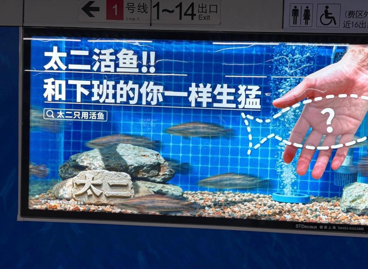 之前知道太二，还是因为招聘管培生这个梗。说实话，一个做酸菜鱼的餐饮品牌，非要装逼