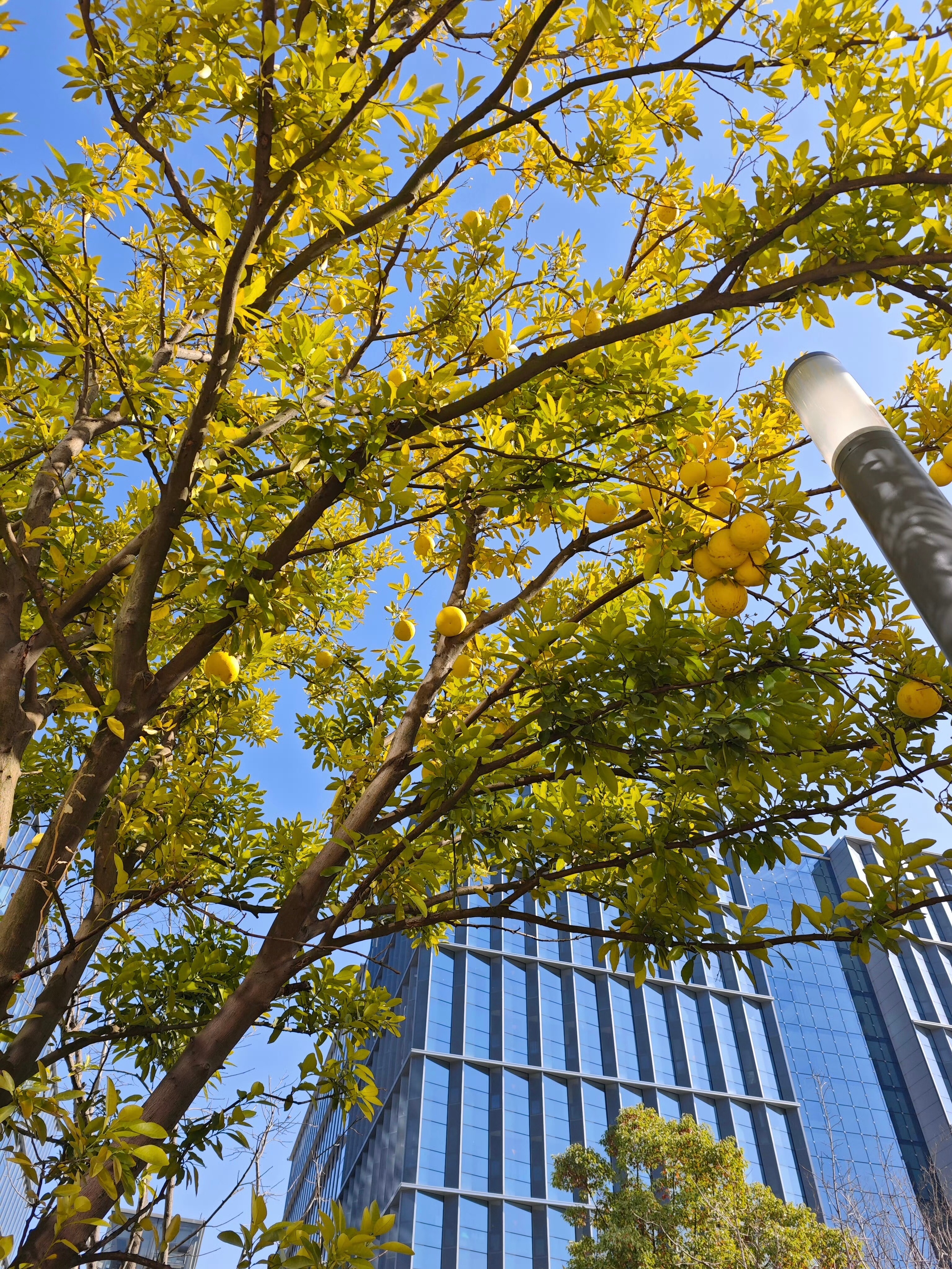 感觉到白嫖党的共性了——理所当然上来也不怎么讲礼貌，一堆消息轰炸过来，也不管你忙