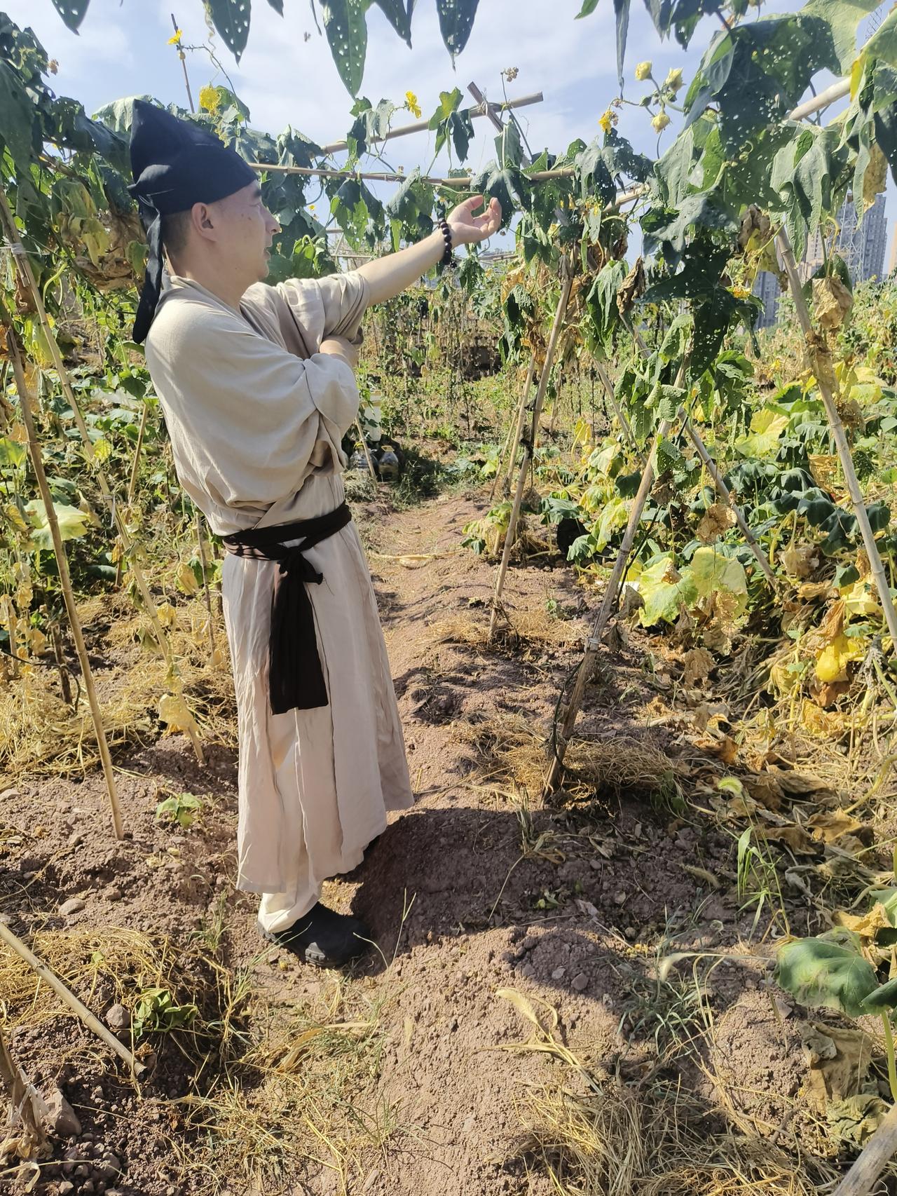 西江月·临窗望陌上
〔当代〕邹謇

遥霭漫封野屋，远山半入平田。绿阴深处草绵绵，