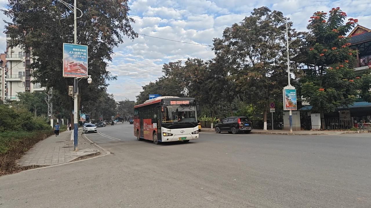 我在西双版纳，跟刘妈隔一天去曼沙小市场去买一次菜。小区里还算安全。
只是去曼沙小