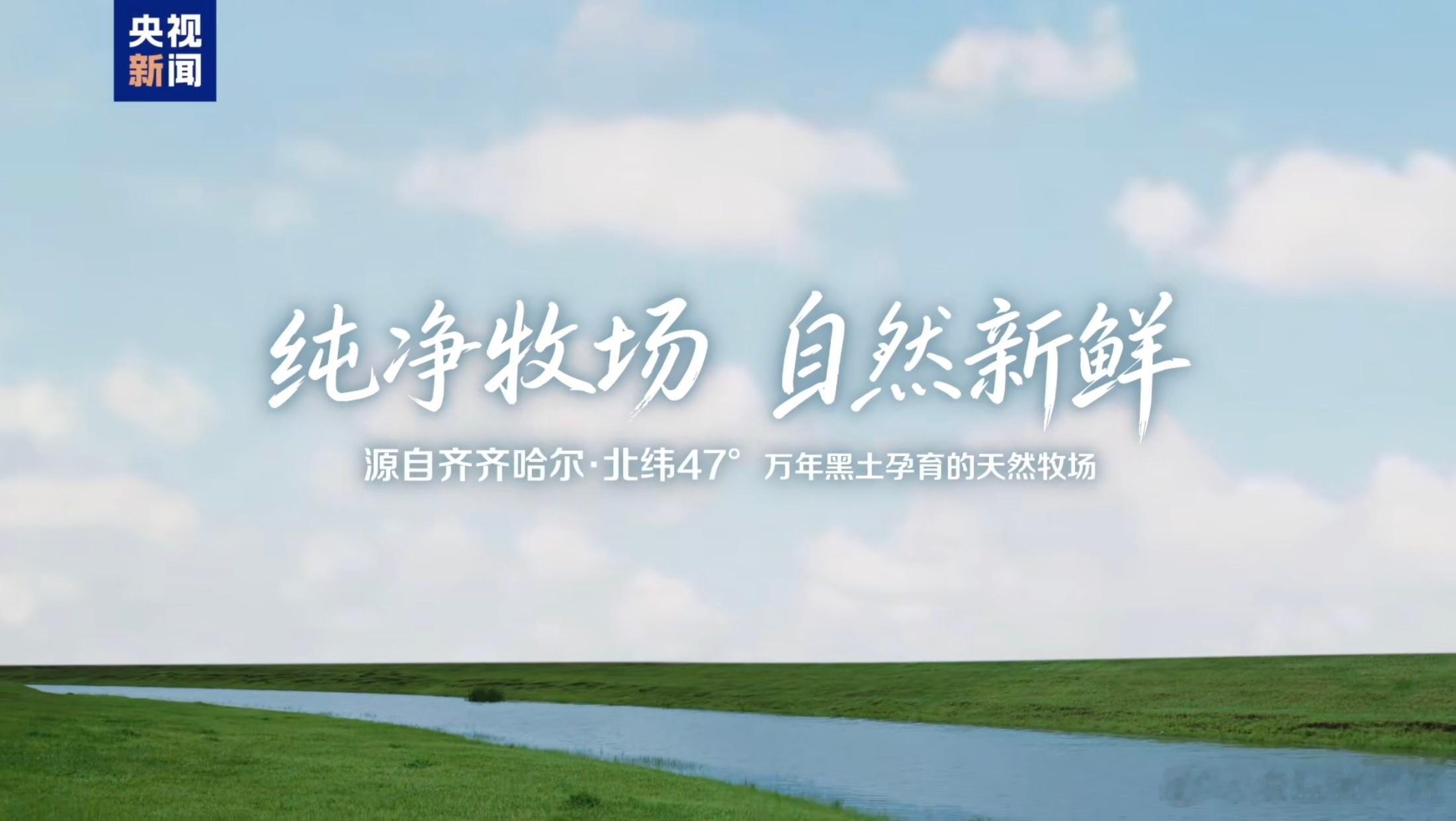每年夏天都喜欢在齐齐哈尔放松几日，草原、湿地、蓝天、白云，再加上丹顶鹤掠过天空，
