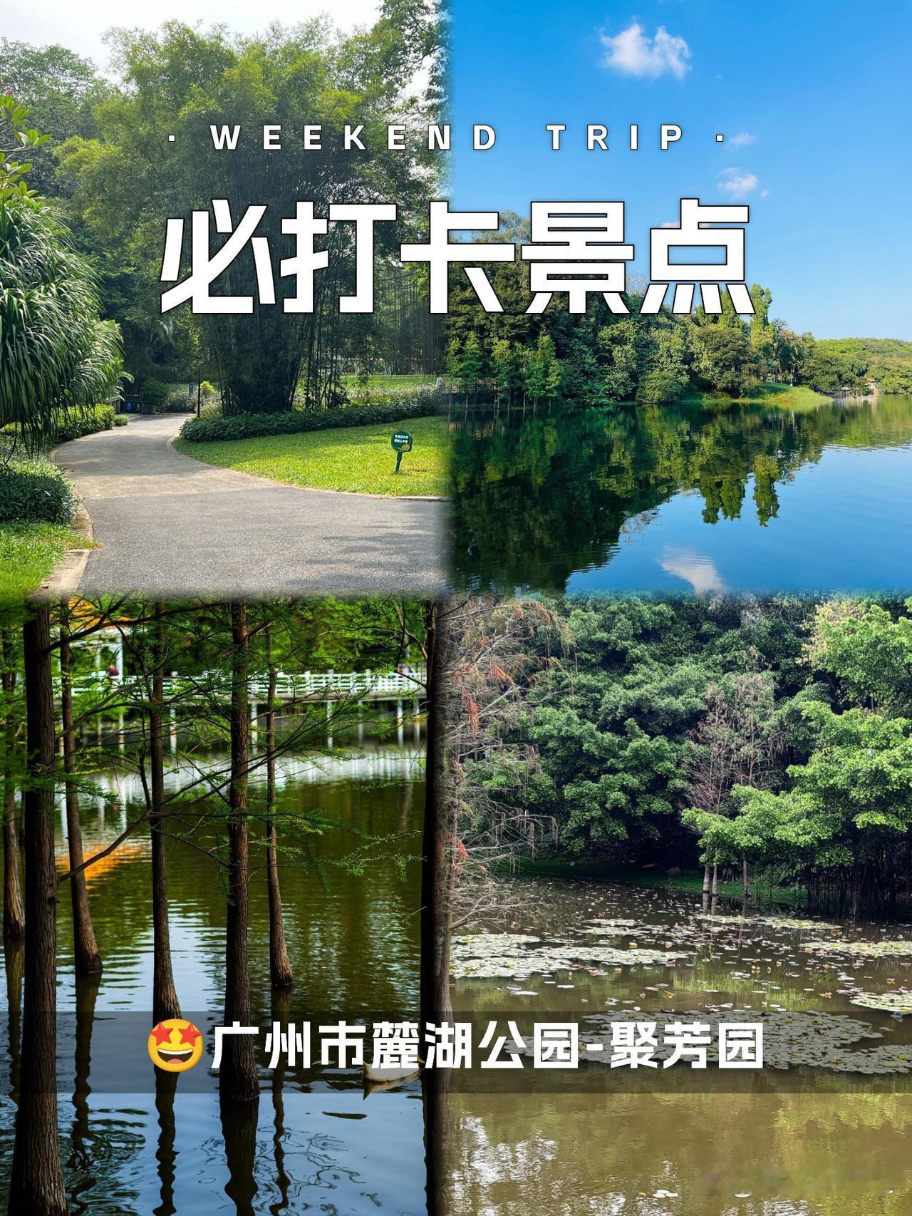 🌸私藏宝藏地｜聚芳园春日漫游指南

周末在广州市区挖到一处人少景美的治愈系公园