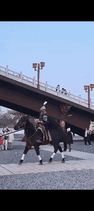 洛阳大唐铁骑 ！[赞]