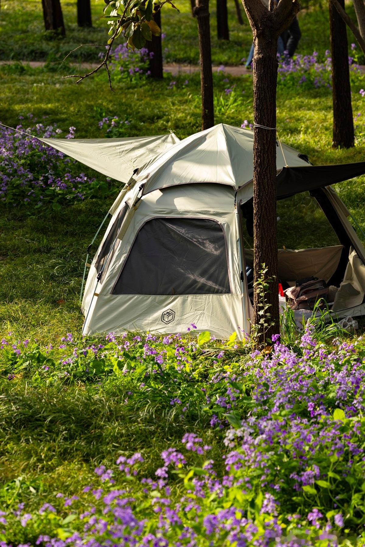 【公司章程核心｜对外担保的“安全阀”必须提前拧紧】公司对外提供担保，是重大的或有