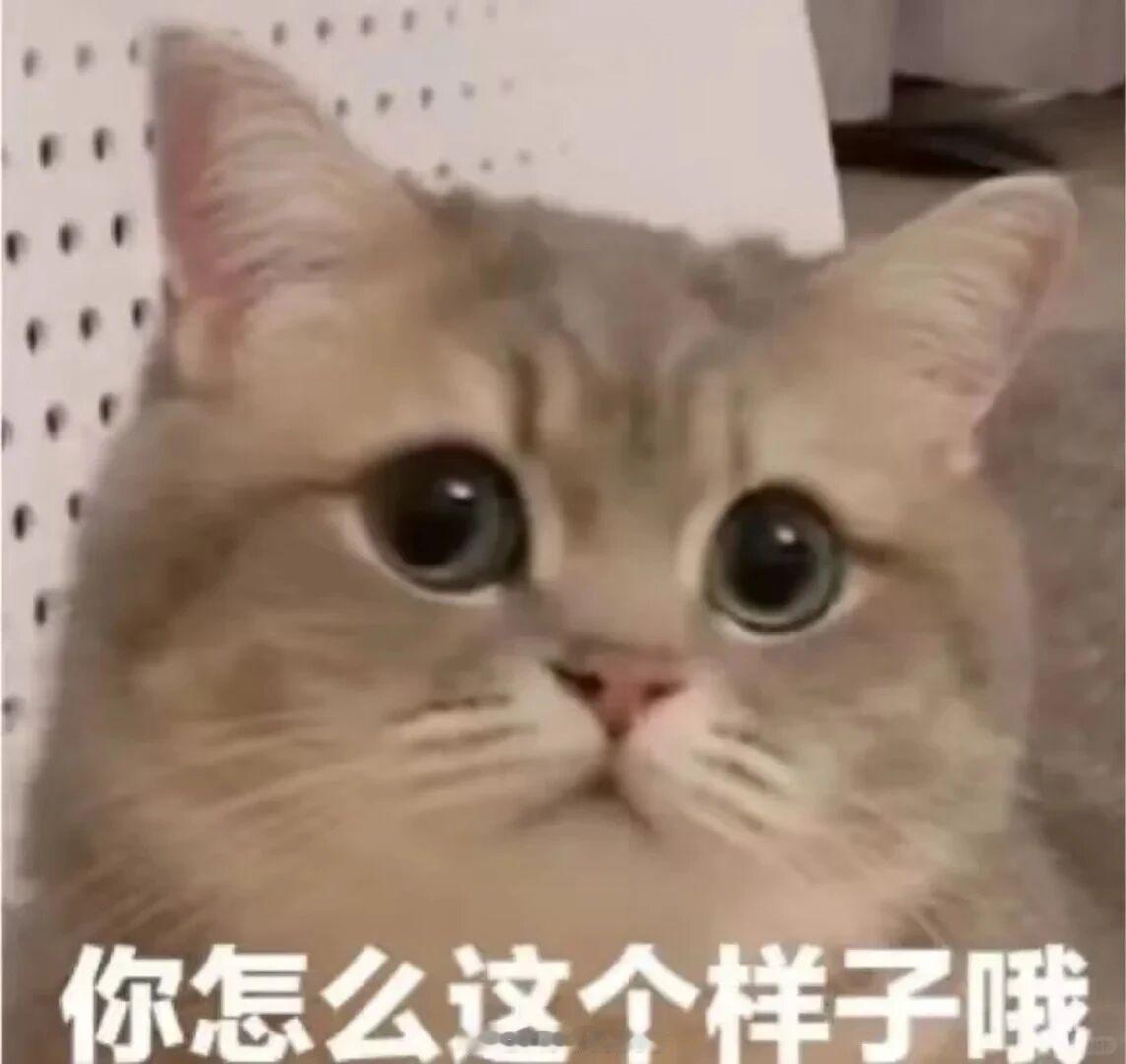 光与夜之恋萧逸  和萧逸吵架，一气之下把和他共享的定位给关掉了。吵了架，执意要出