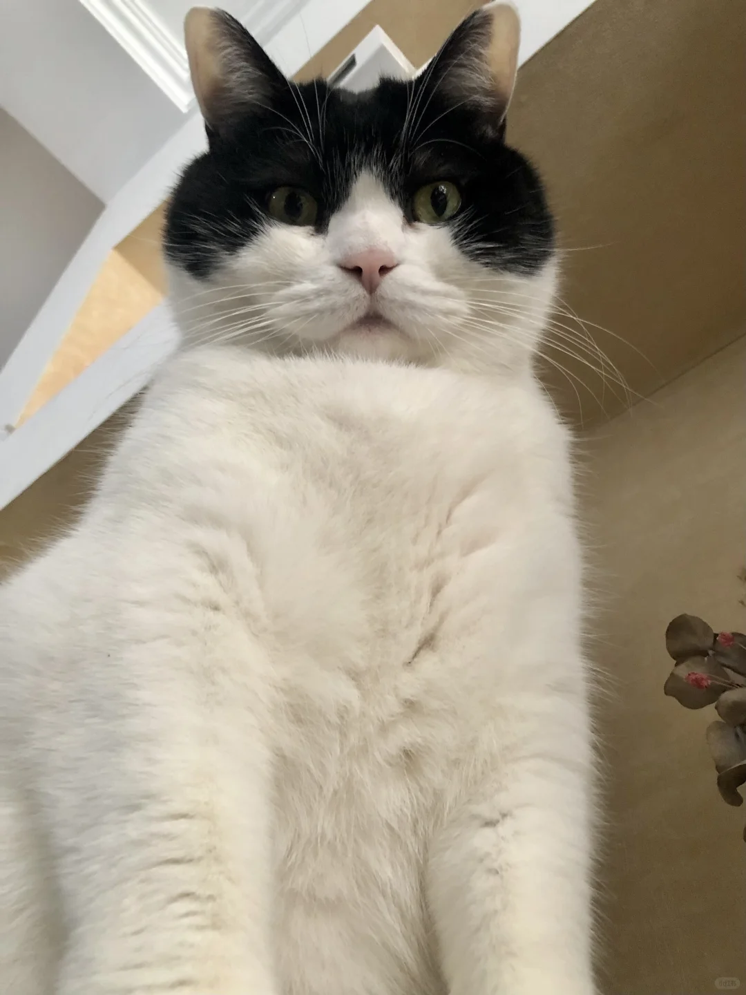 来，看镜头！