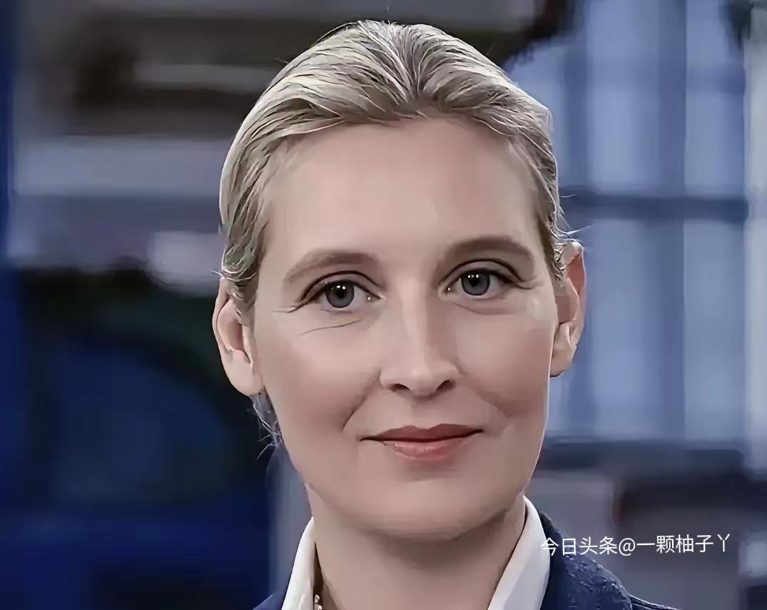 德国选择党联合主席魏德尔最近又爆出“耿直发言”，她直言，甭管是民主党还是共和党人