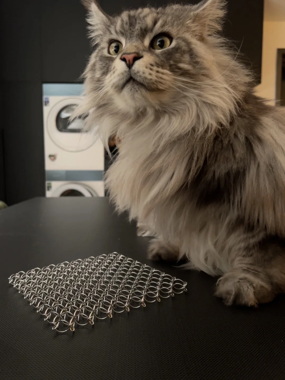 今天cos矮脚宝宝