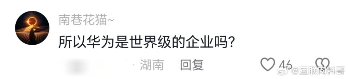 华为是世界级企业吗？？？ ​​​